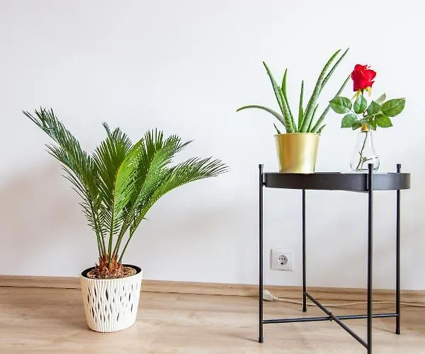 - Authentic Comfort, Self Check-in, Ac, Disney& Netflix Apartment Vienna